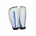 MENEGHINI - Parastinchi Spider